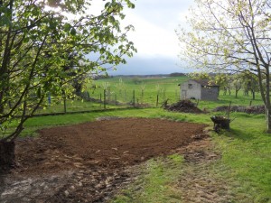 2012.02.22 Terrain prêt