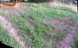 2012.06.08_jardin