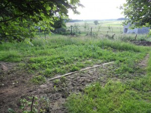 2012.06.14_jardin