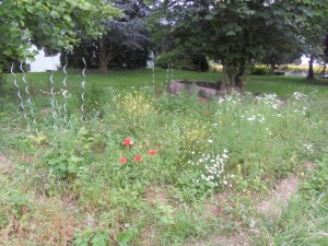 2012.07.09_potager