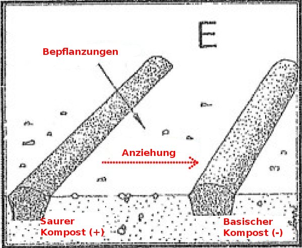 imgE_de