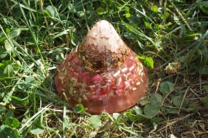 11 b