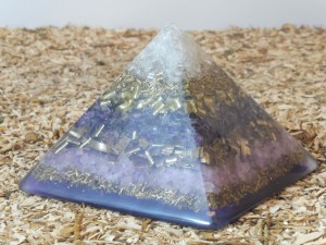 c11_d